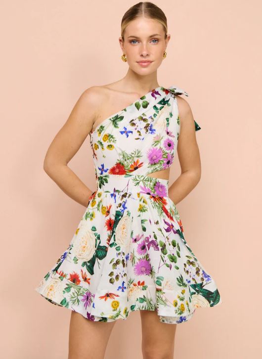 sofia the label mini dress Sofia Slip Mini Dress