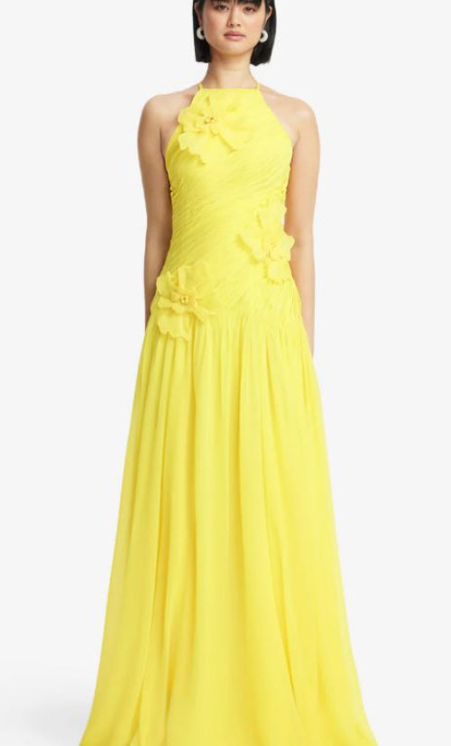 Leo Lin Amya Floral Applique Gown in Sunshine Front View